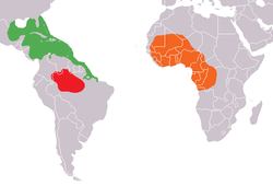 Lamantín - Mapa.png