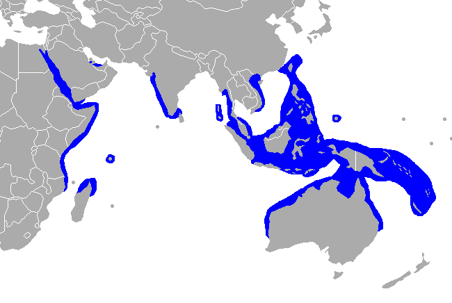 Dugong - Mapa.png